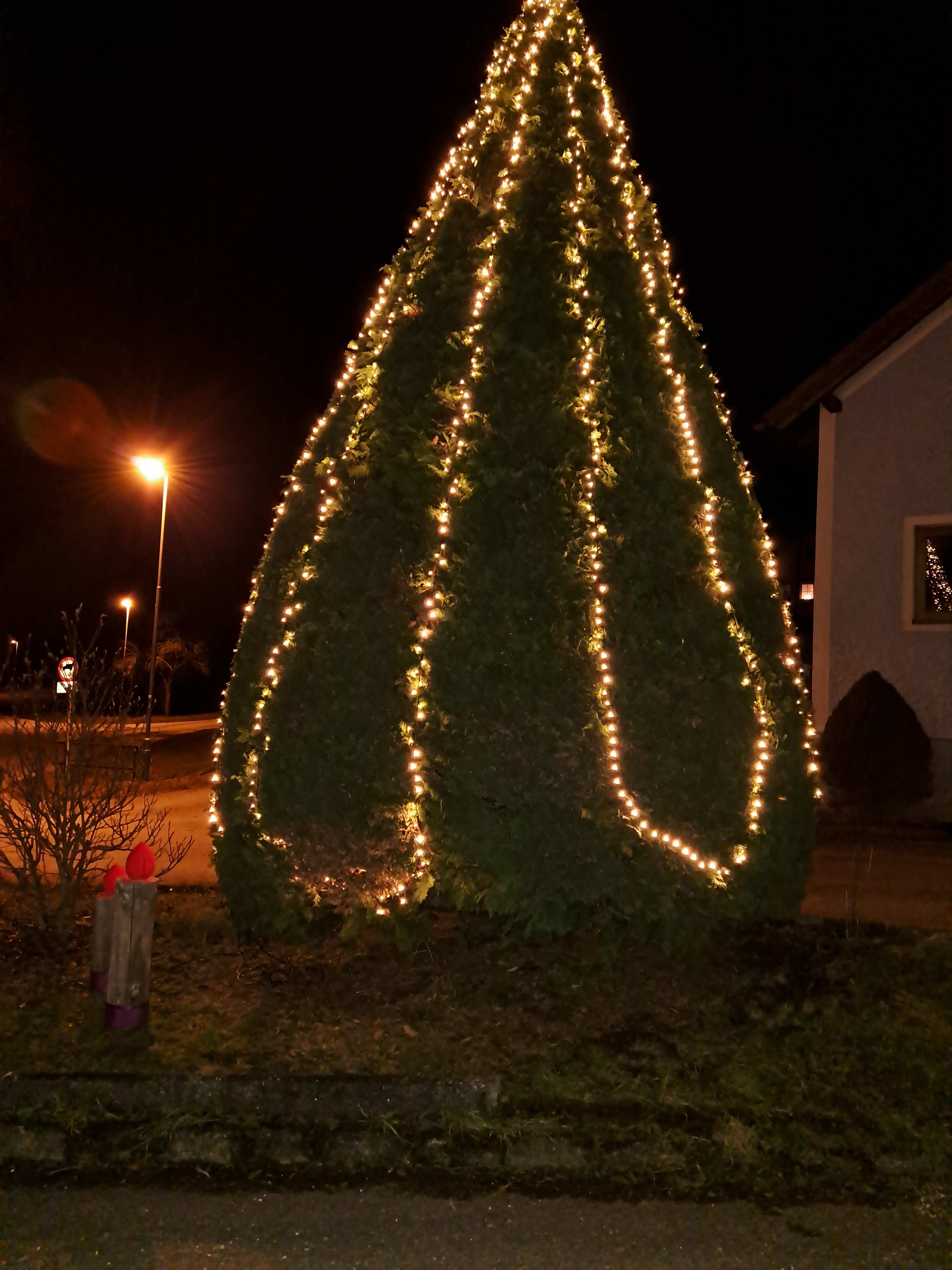 christbaum_2024_2.jpg